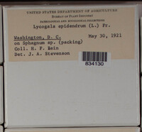 Image Associated With the Occurence